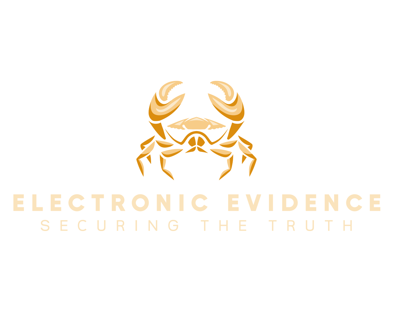 La verdad no se esconde, se protege. La evidencia electrónica es nuestra herramienta clave